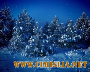 Wallpapers Collection: Волшебство зимней сказки [2010]