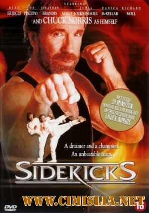 Парный удар / Sidekicks [1992 / DVDRip]