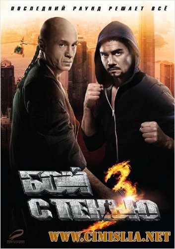 Бой с тенью 3D: Последний раунд [2011 / HDRip | Лицензия]