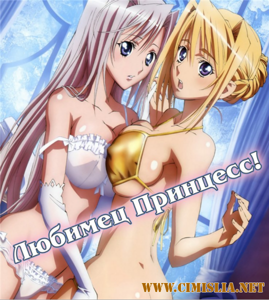 Любимец принцесс! / Princess Lover! [1-12 series из 12] [2011 /  BDRip]