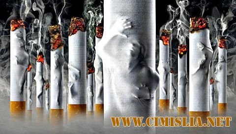 Из чего делают современные сигареты?