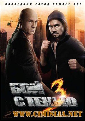 Бой с тенью 3D: Последний раунд [2011 / HDRip | Лицензия]