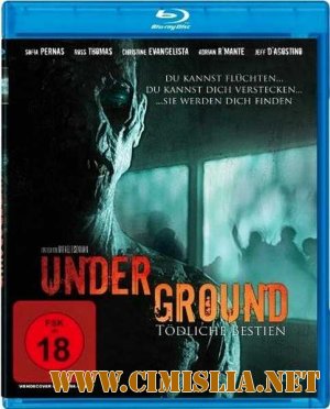 Подземелье / Underground [2011 / HDRip]