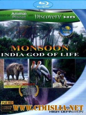 Дикая Азия: Муссон бог жизни / Wild Asia: Monsoon India`s God of Life [1999 / HDRip]