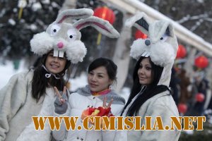 Фотоподборка