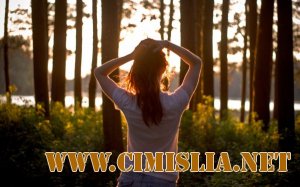 Обои для рабочего стола - Лучи Солнца [2012]