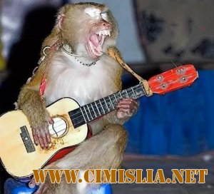 Картинки зверей