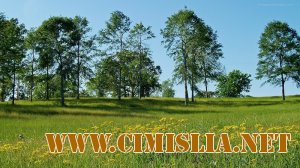 Wallpapers Collection:Красивая природа HD [2010]