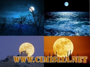 Фотографии луны