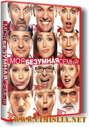 Моя безумная семья [2011 / DVDRip | Лицензия]