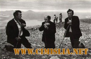 Фотографии профессиональные