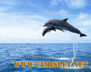 Картинки море