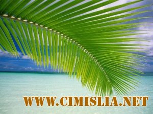 Пак обоев природы [Mobile] [2010]