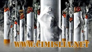 Из чего делают современные сигареты?