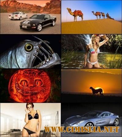 Обои для рабочего стола - Разное [2012]