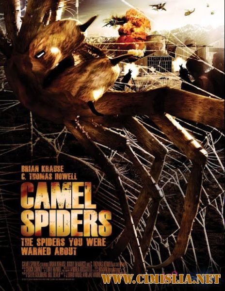Верблюжьи пауки / Camel Spiders [2012 / HDRip]