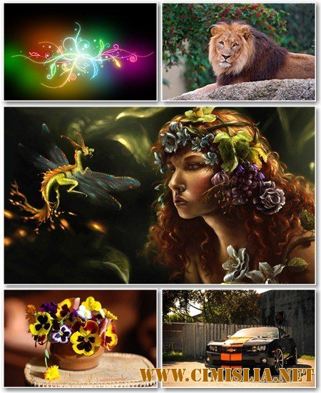 Обои для рабочего стола - Разное [2012]