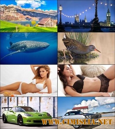 Обои для рабочего стола - Разное [2012]