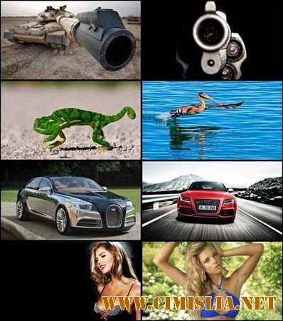 Обои для рабочего стола - Разное [2012]