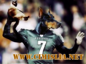 Рисунки о спорте