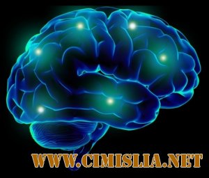 OverBRAIN Daily Music Pack [2012 / MP3 / 320 kb]