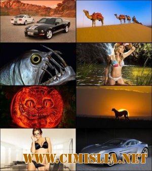 Обои для рабочего стола - Разное [2012]