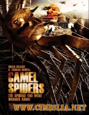 Верблюжьи пауки / Camel Spiders [2012 / HDRip]