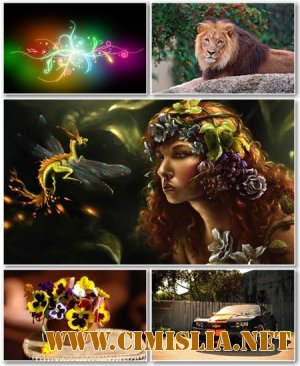 Обои для рабочего стола - Разное [2012]