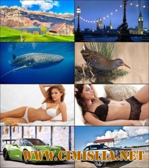 Обои для рабочего стола - Разное [2012]