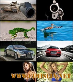 Обои для рабочего стола - Разное [2012]