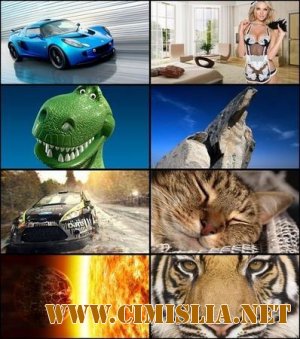 Обои для рабочего стола - Разное [2012]