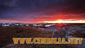 Природа. Часть 3 [2011]