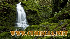 Природа. Часть 4 [2011]