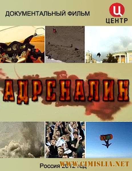 Адреналин [01-02 серии из 02] [2012 / IPTVRip]