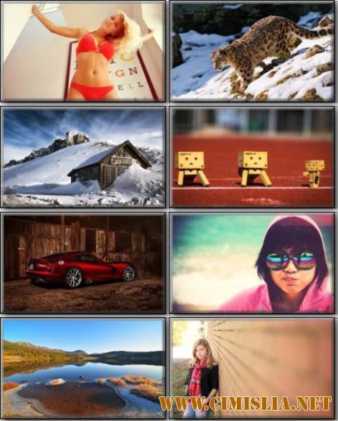 Обои для рабочего стола - Разное [2012]