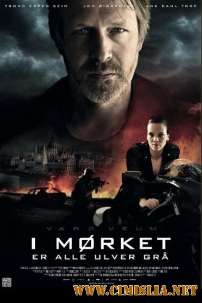 Варг Веум 10: Ночью все волки серы / Varg Veum - I m&#248;rket er alle ulver gr&#229; [2011 / HDRip]