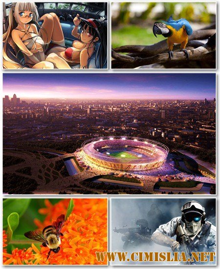 Обои для рабочего стола - Разное [2012 ]