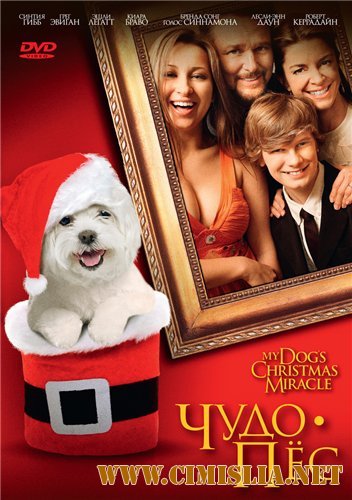 Чудо-пёс / My Dog's Christmas Miracle [2011 / DVDRip | Лицензия]