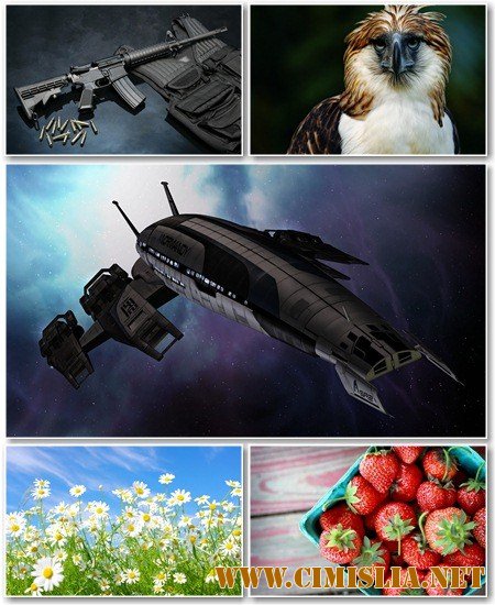 Обои для рабочего стола - Разное [2012]