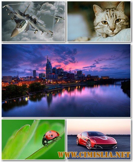 Обои для рабочего стола - Разное [2012]