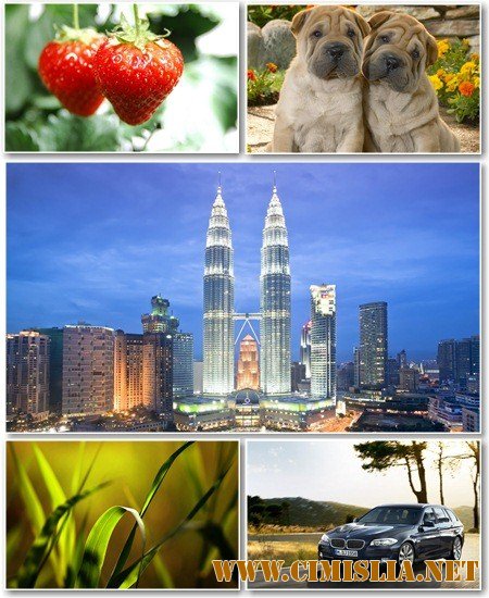 Обои для рабочего стола - Разное [2012]