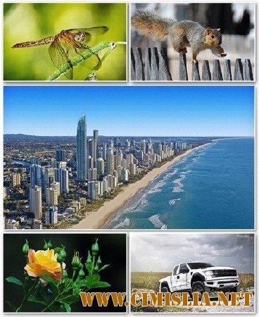 Обои для рабочего стола - Разное [2012]