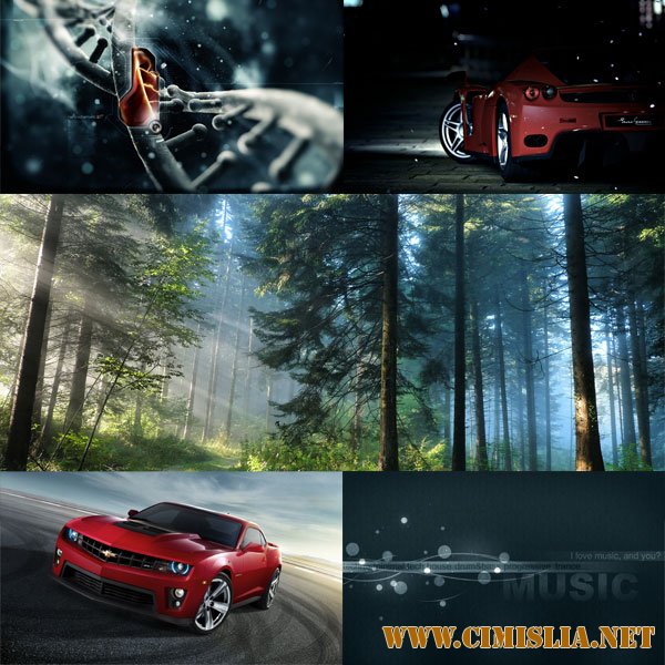 Обои для рабочего стола - Разное [2012]