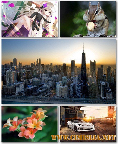 Обои для рабочего стола - Разное [2012]