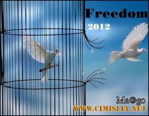 Freedom 50/50 [2012 / MP3 / 128-320 kb]