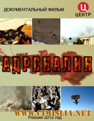 Адреналин [01-02 серии из 02] [2012 / IPTVRip]