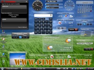 Widgets and Themes Pack for MS WIN [2012 / ENG]