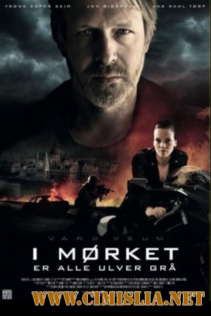 Варг Веум 10: Ночью все волки серы / Varg Veum - I m&#248;rket er alle ulver gr&#229; [2011 / HDRip]