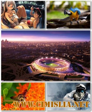 Обои для рабочего стола - Разное [2012 ]