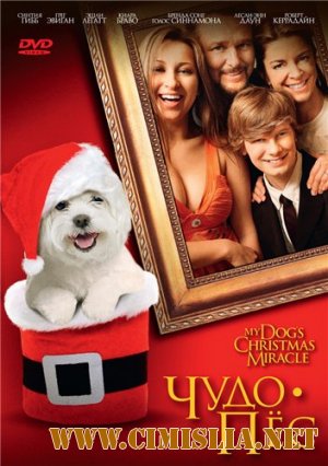 Чудо-пёс / My Dog's Christmas Miracle [2011 / DVDRip | Лицензия]